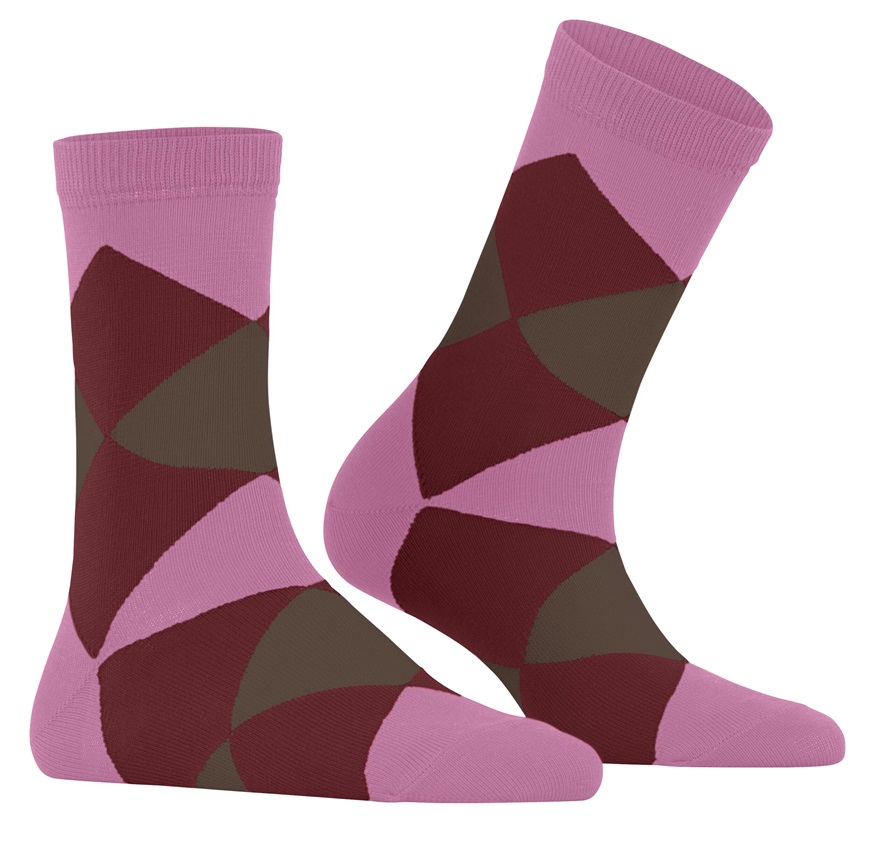 Burlington Bonnie Dam