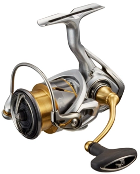 Daiwa 21 Freams LT 1000D - 2