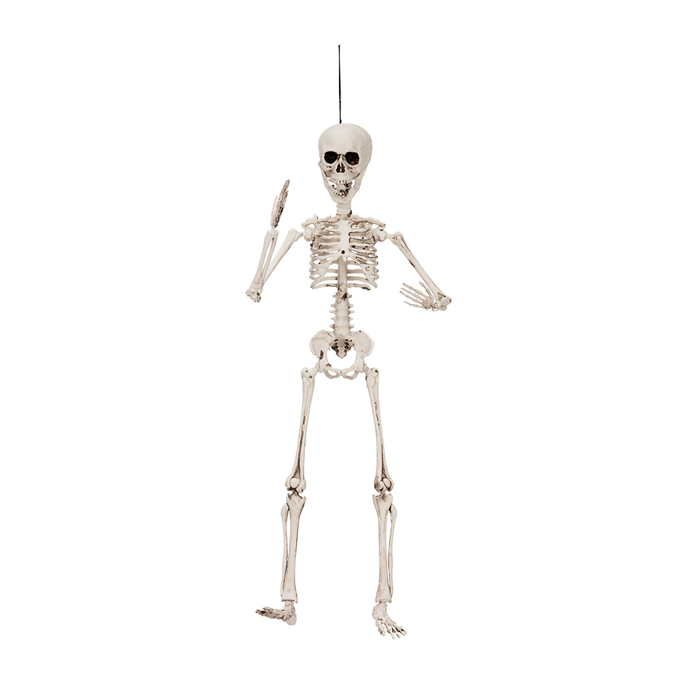 Posable Skeleton 50 cm 