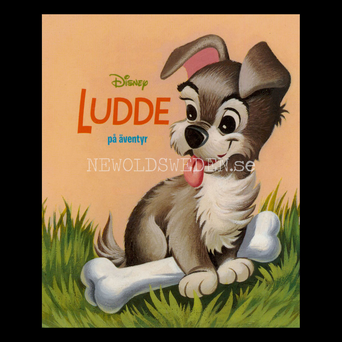 LUDDE på äventyr - DISNEY -DISNEY 100 YEARS OF WONDER - Miniböcker - MB259