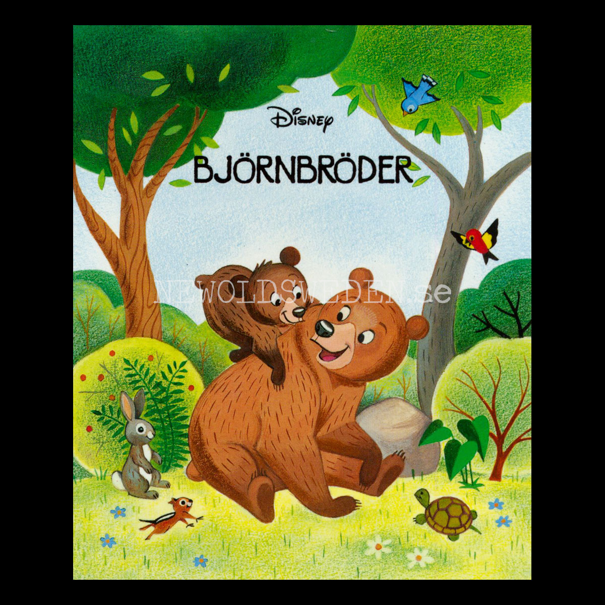 BJÖRNBRÖDER - DISNEY -DISNEY 100 YEARS OF WONDER - Miniböcker - MB261