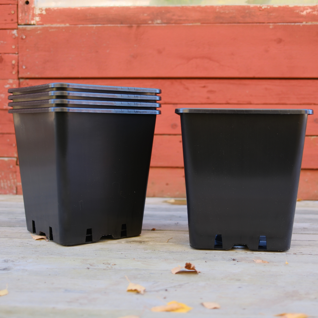 5-pack Plastkruka - 25x25x26 cm - 3