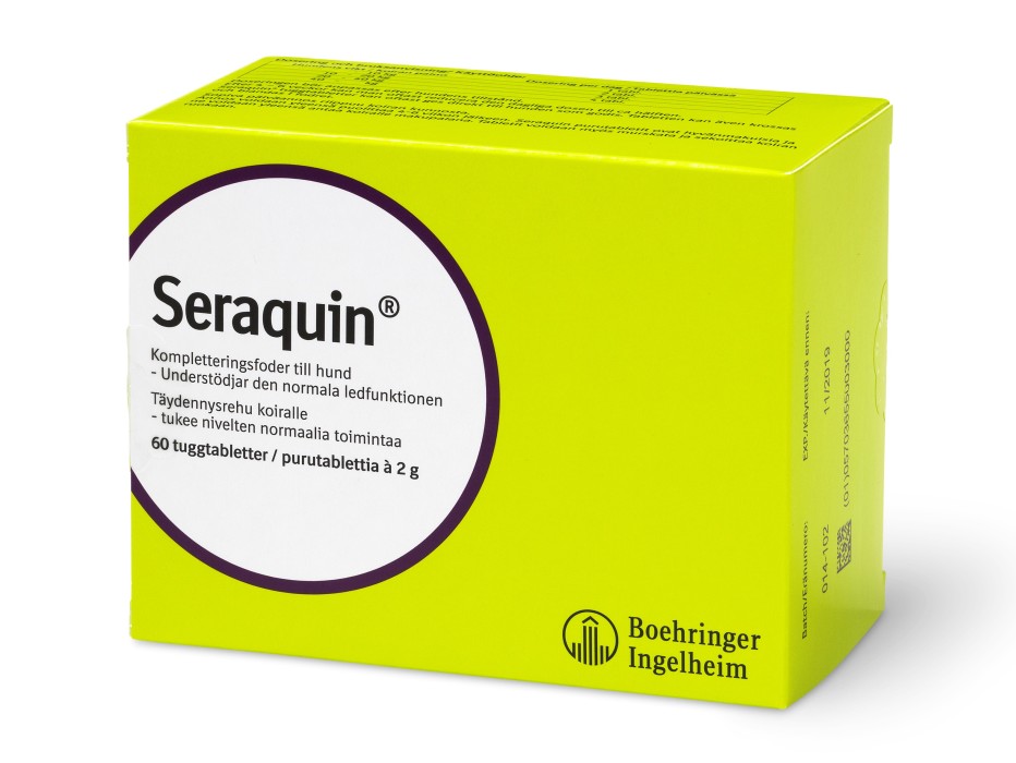 Seraquin Kautablette 2 g 60 Stück