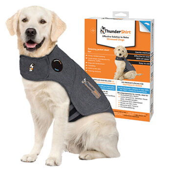 Thundershirt für Hundeangst grau XL