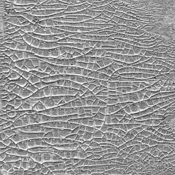 Ranger Tim Holtz Distress Crackle Paste - Translucent