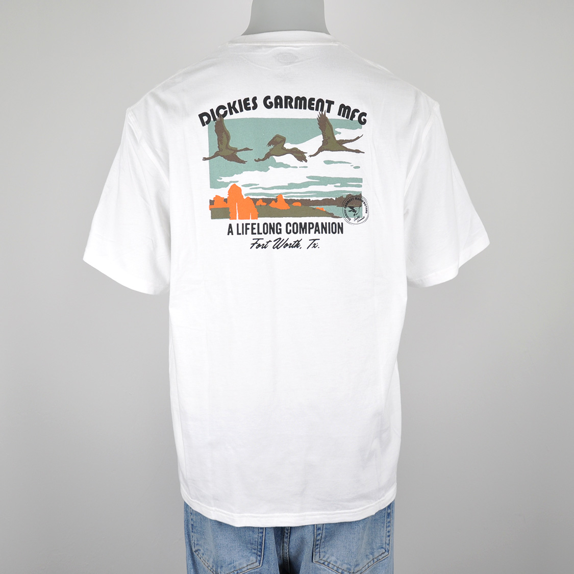 Dickies - Companion T-shirt White
