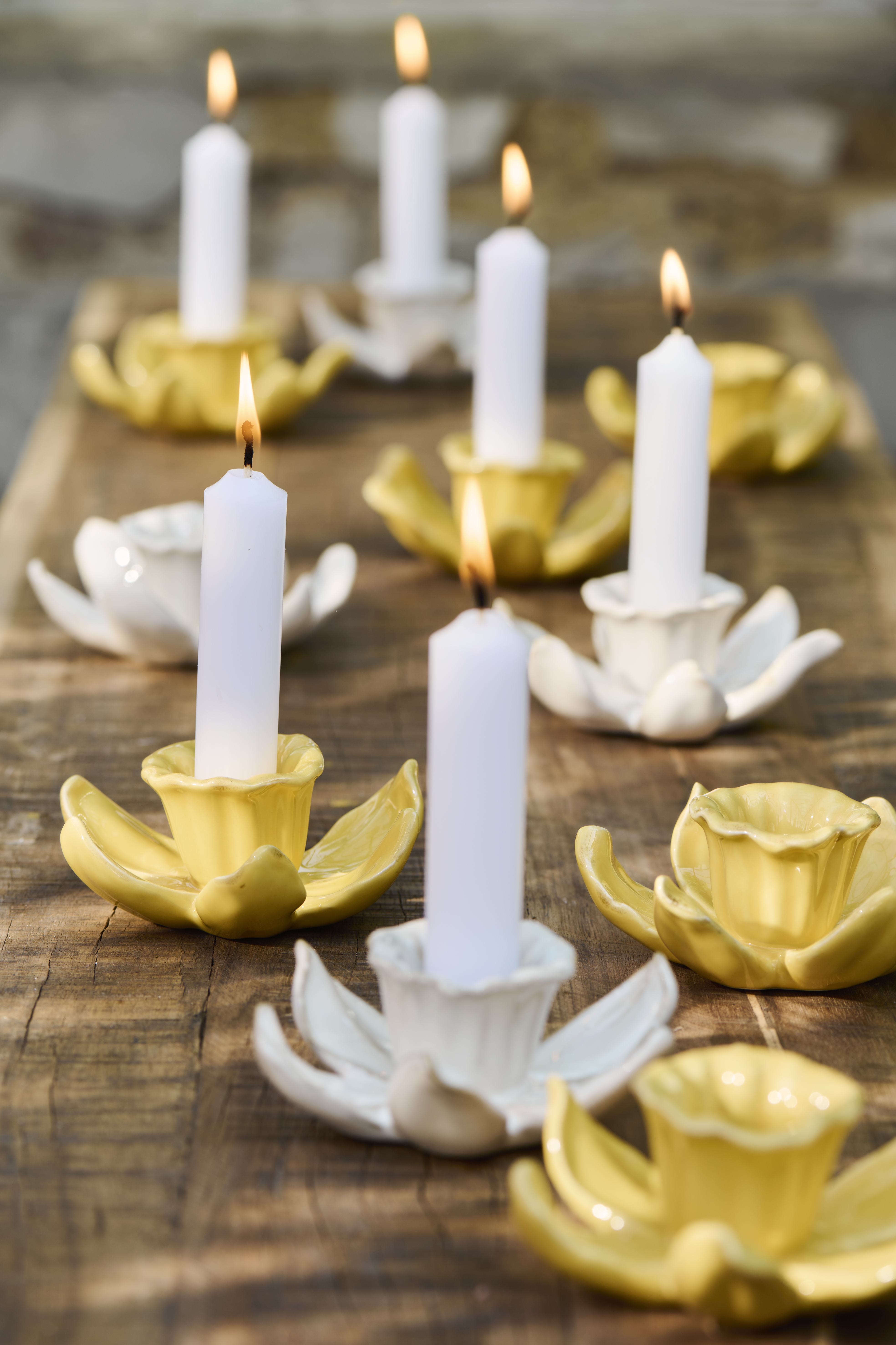 Narcissus - Daffodil Candlestick - Flower - Yellow - Ø11.5 x 4.3 cm - 2