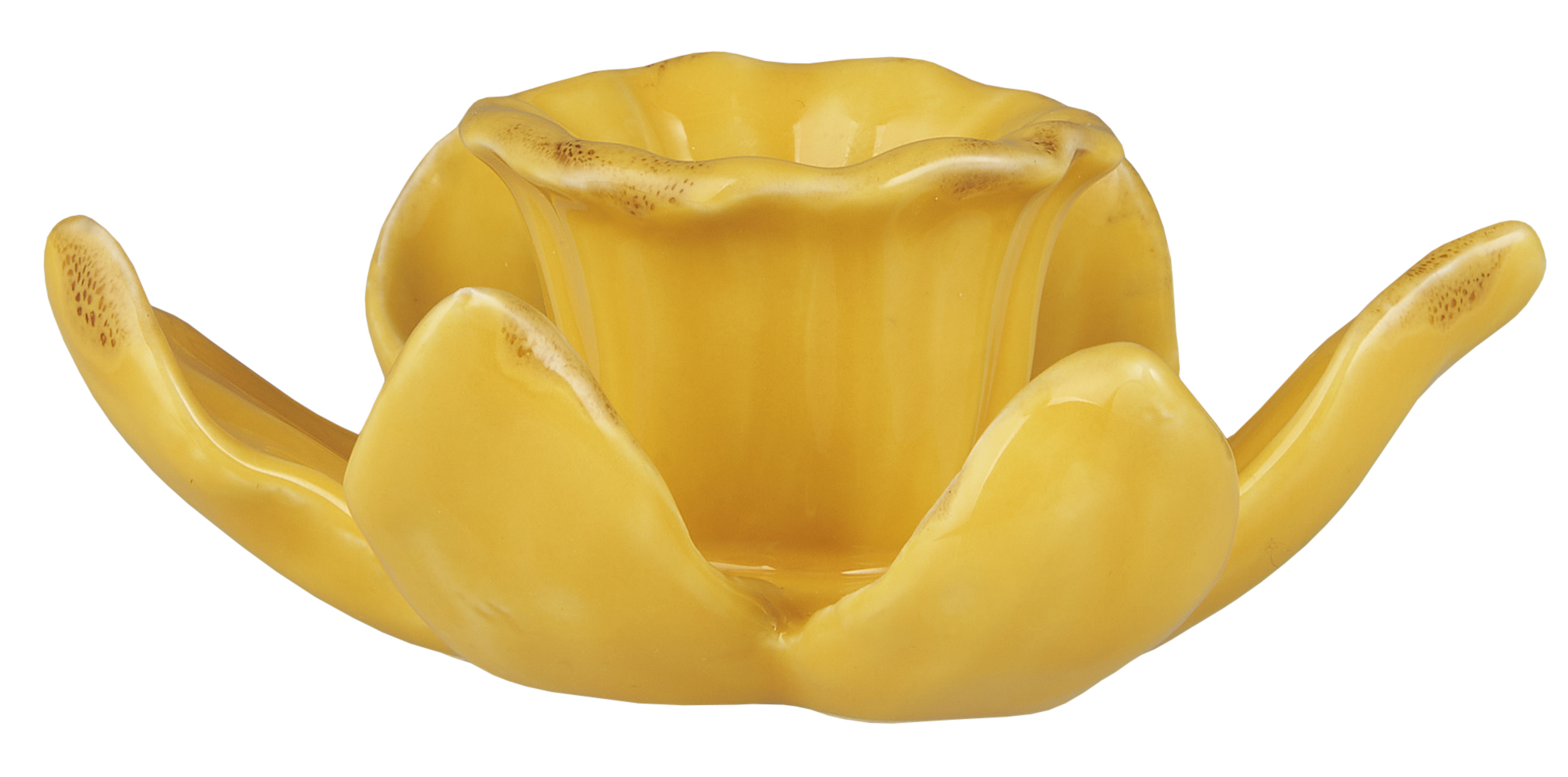 Narcissus - Daffodil Candlestick - Flower - Yellow - Ø11.5 x 4.3 cm - 5