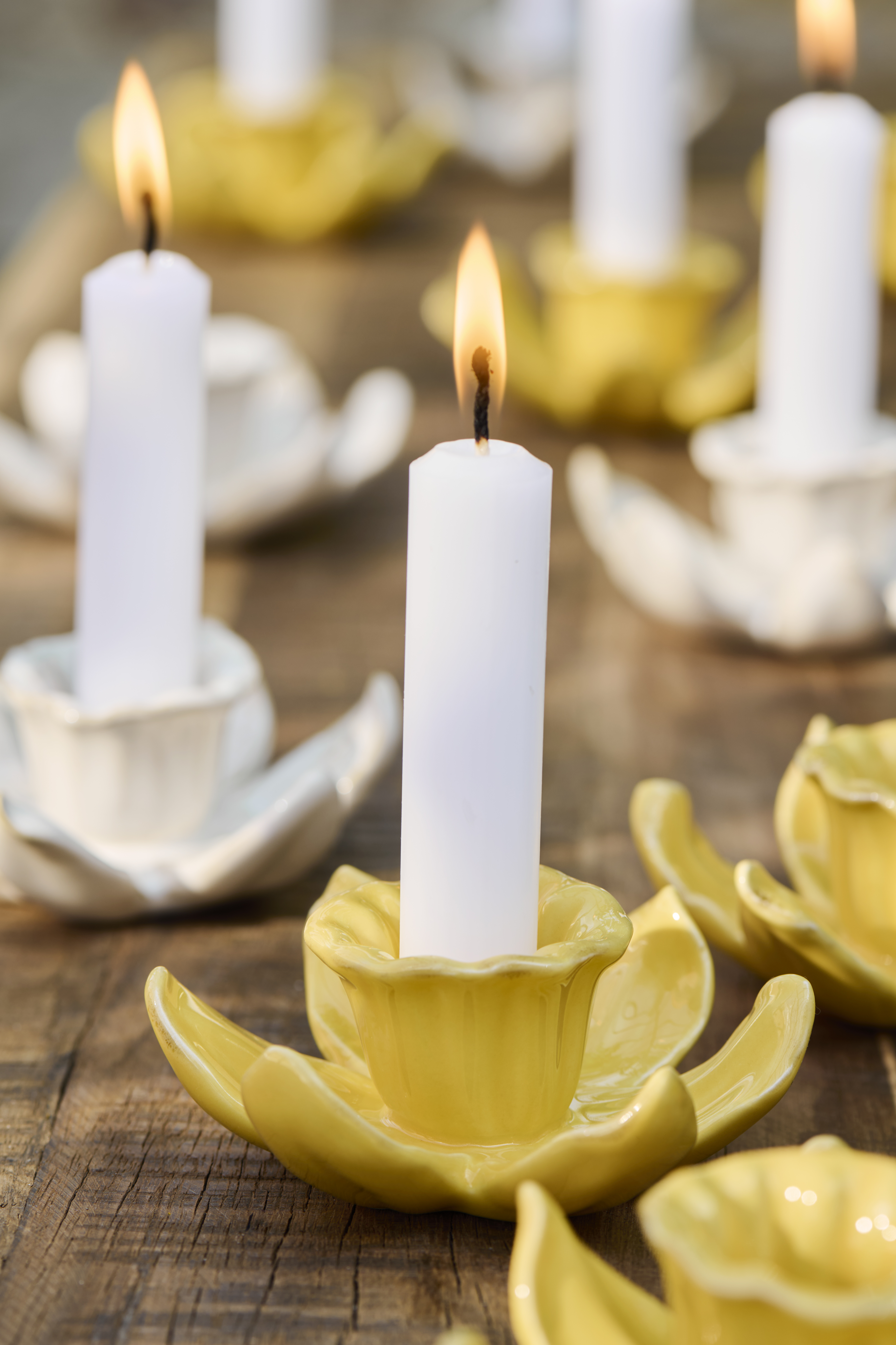 Narcissus - Daffodil Candlestick - Flower - Yellow - Ø11.5 x 4.3 cm