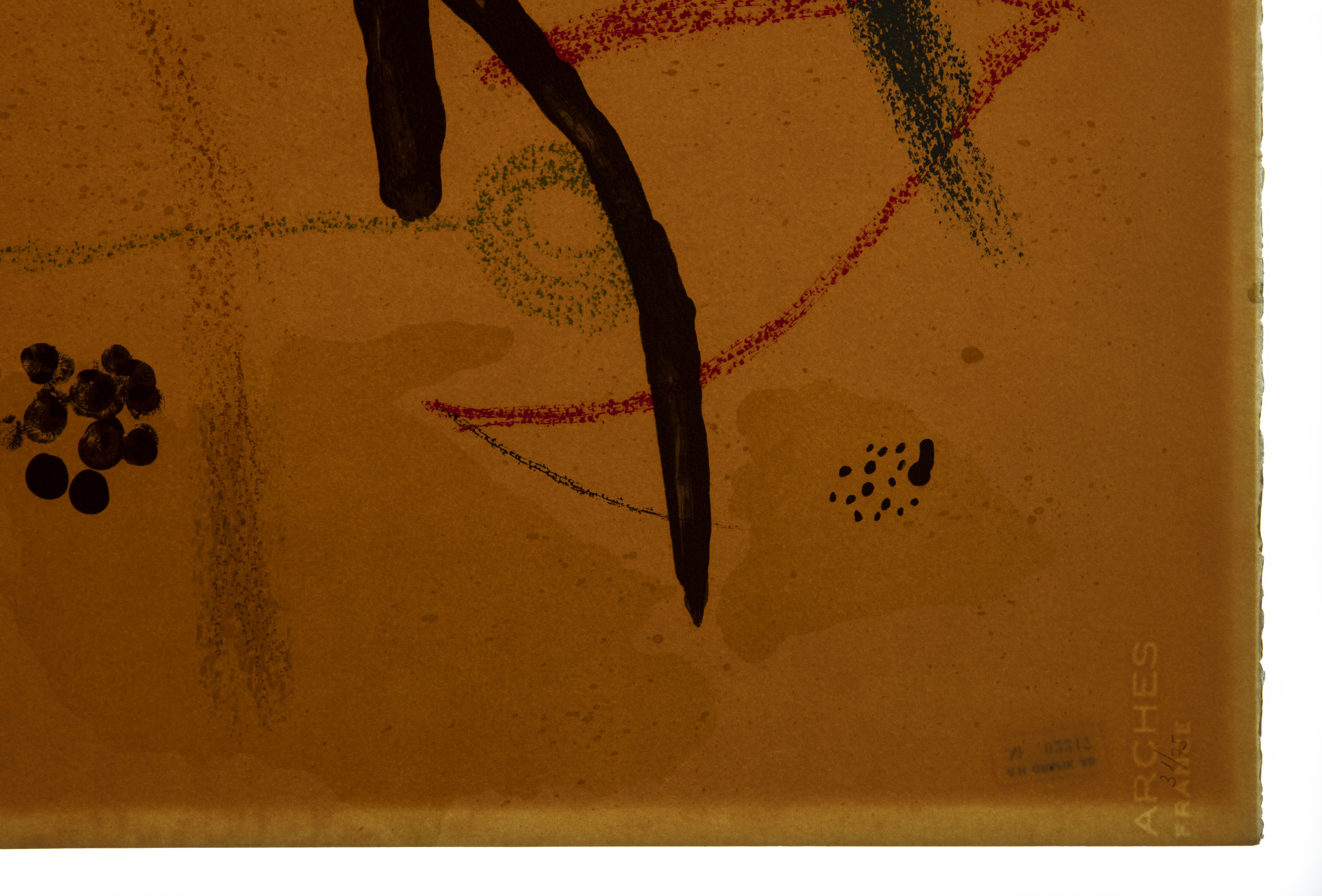 Maravillas con Variaciones Acrósticas en el Jardín de Miró #9 - 5