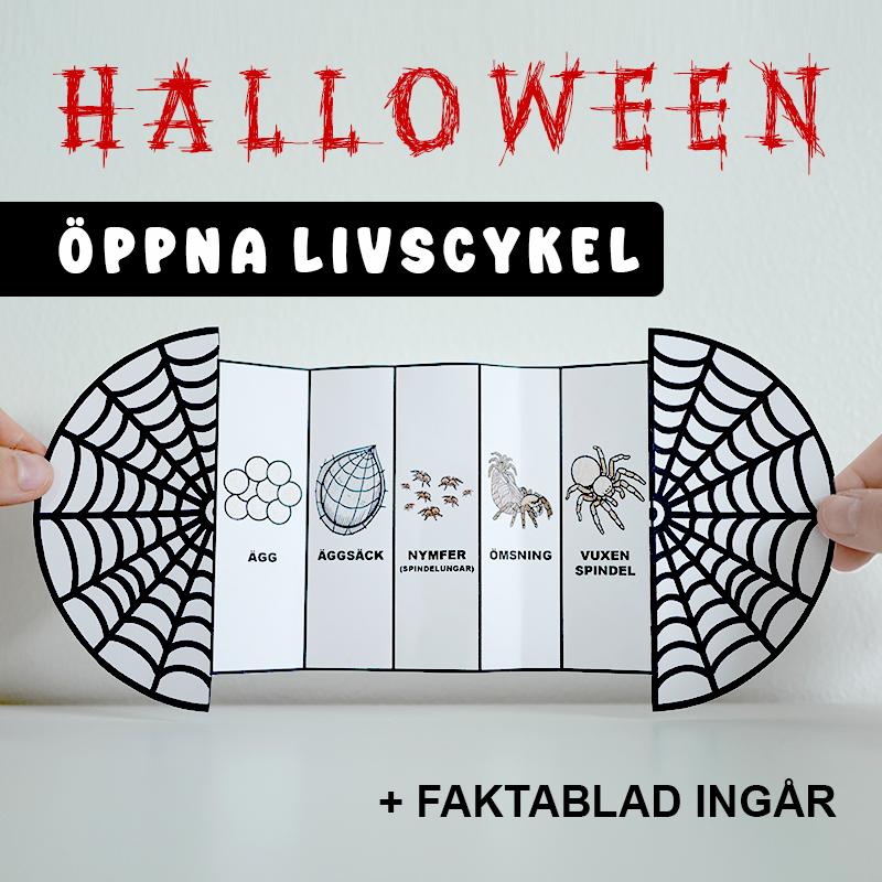 Halloweenpaket (Alla halloweenpyssel till paketpris) - 7