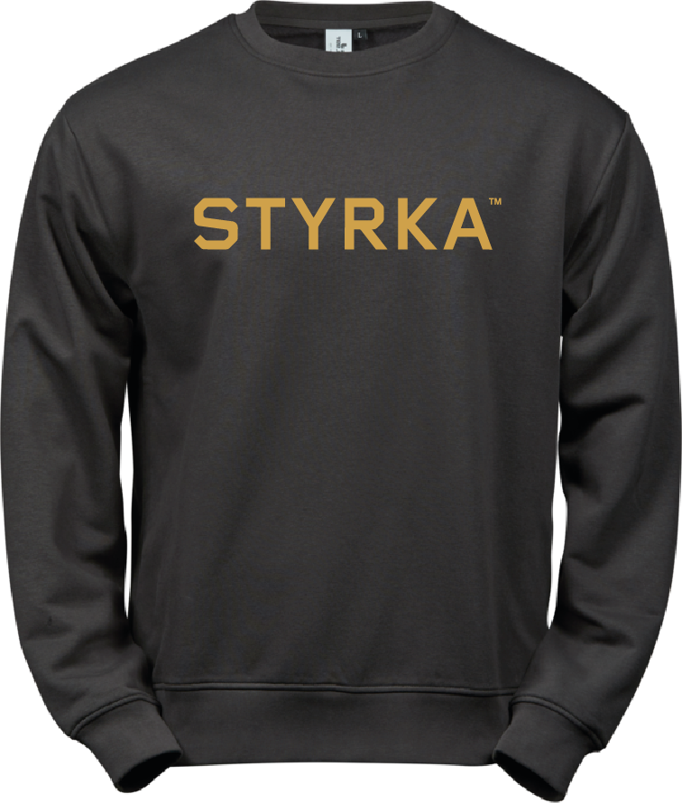 Power Sweatshirt USX (STYRKA) - 3