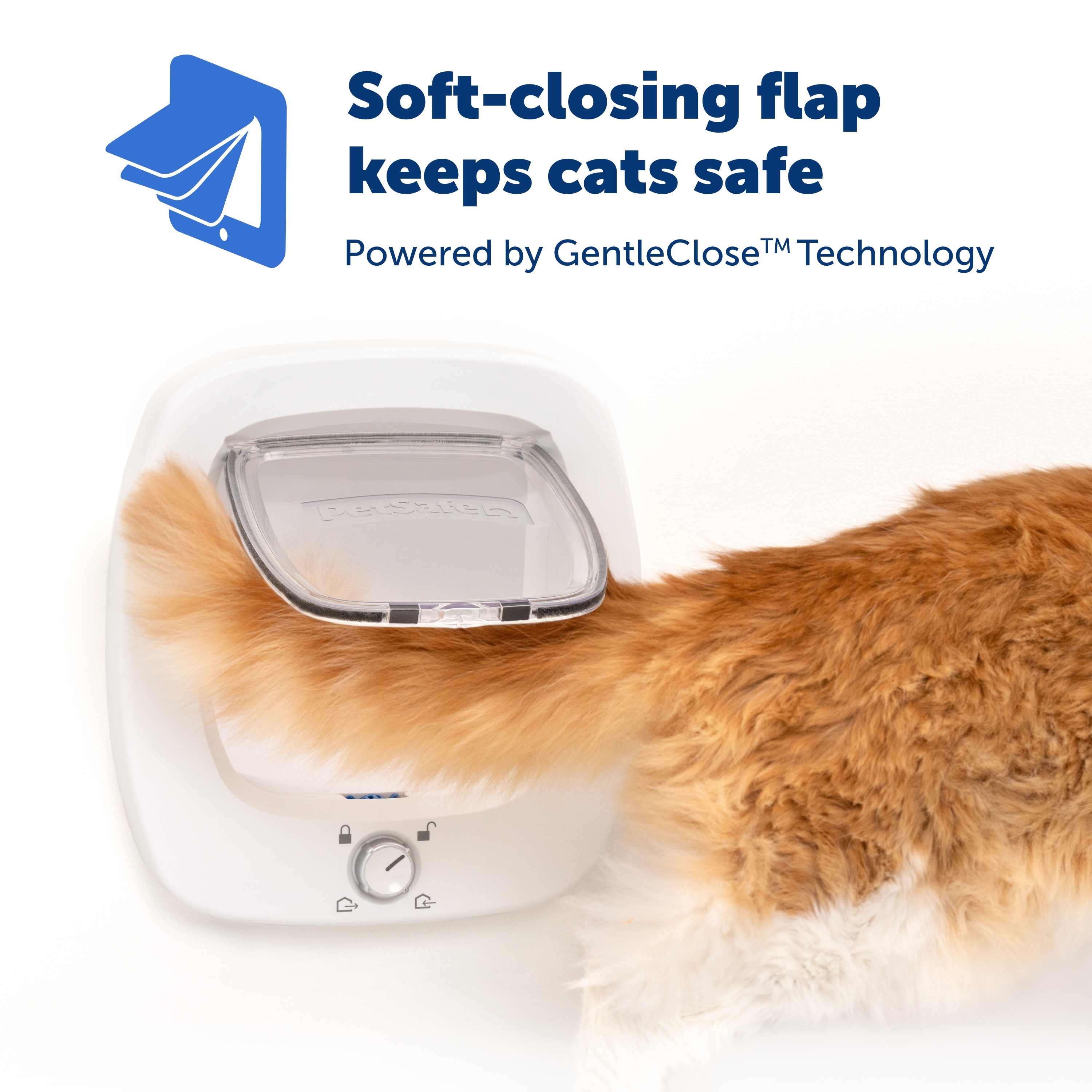 Big cat flap outlet