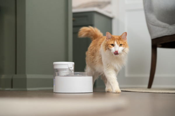 PetSafe Outlast Pumpless Pet Fountain - 1,8 litre - 9