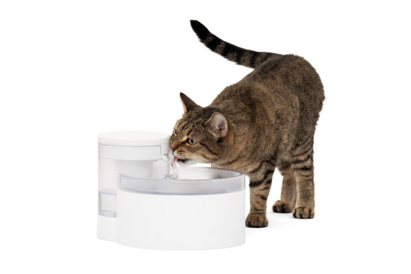 PetSafe Outlast Pumpless Pet Fountain - Durable