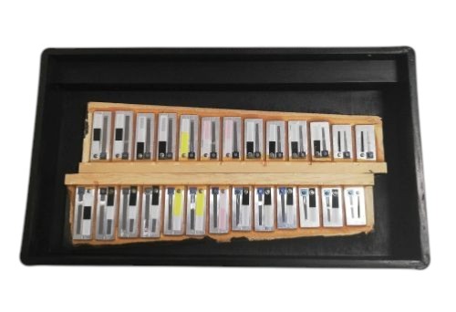 Hohner - Kit 40 (Begagnat) - 16