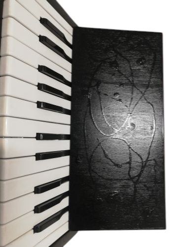 Hohner - Kit 40 (Begagnat) - 3