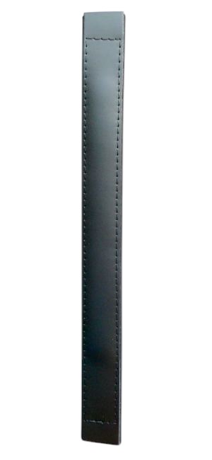 1. SNC - Bass Strap