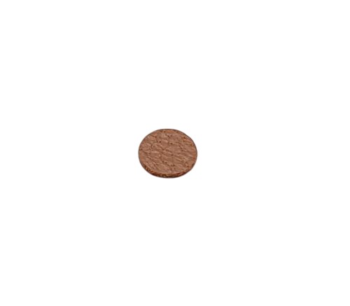 Stämskinnfjädrarbricka