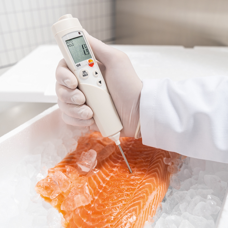 Testo 106 Termometer med insticksgivare - 3