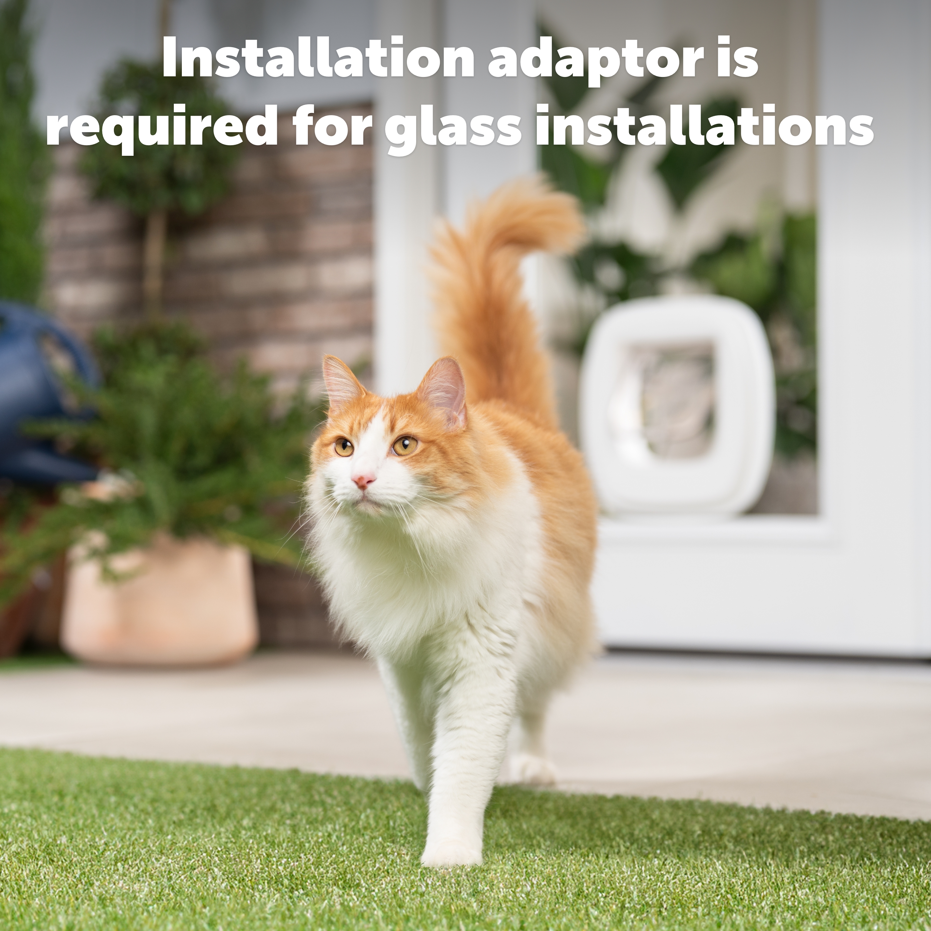 PetSafe Big Cat Flap 2.0 Adapter