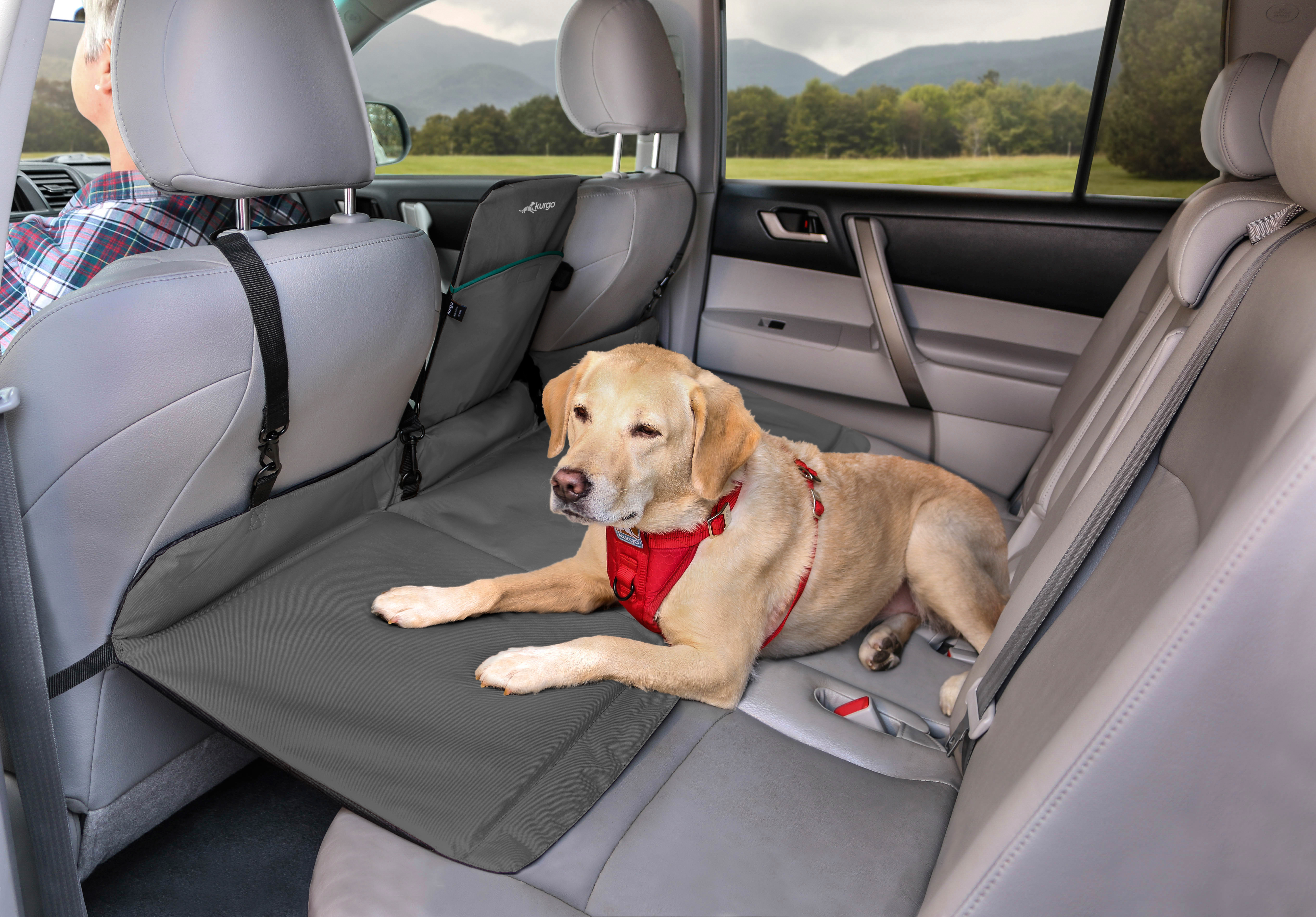 Kurgo Backseat Bridge Seat Cover PETSTER