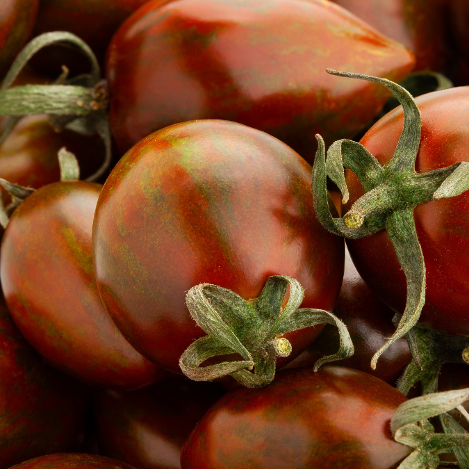 Ekologisk Tomat - Black Plum