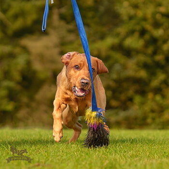 Wild Boar Chaser Tug L