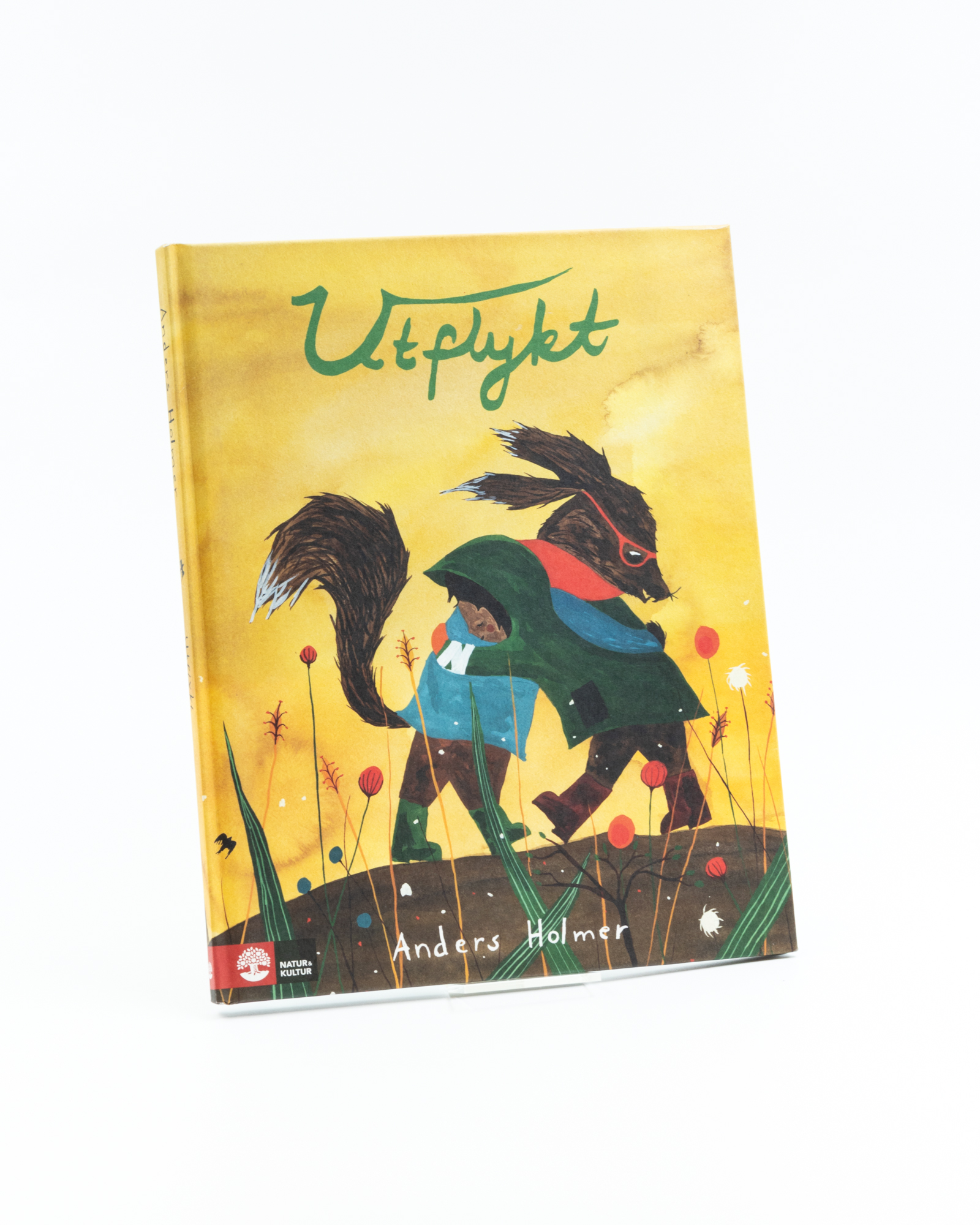 Utflykt, Anders Holmer