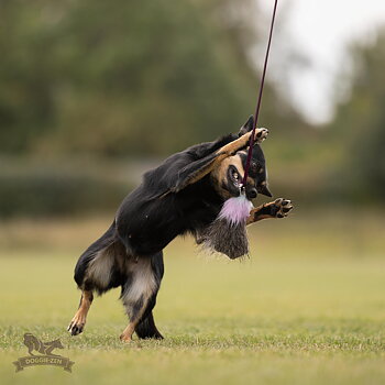 Wild Boar Chaser Tug S