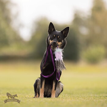Wild Boar Chaser Tug S
