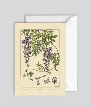 Kort Glycine