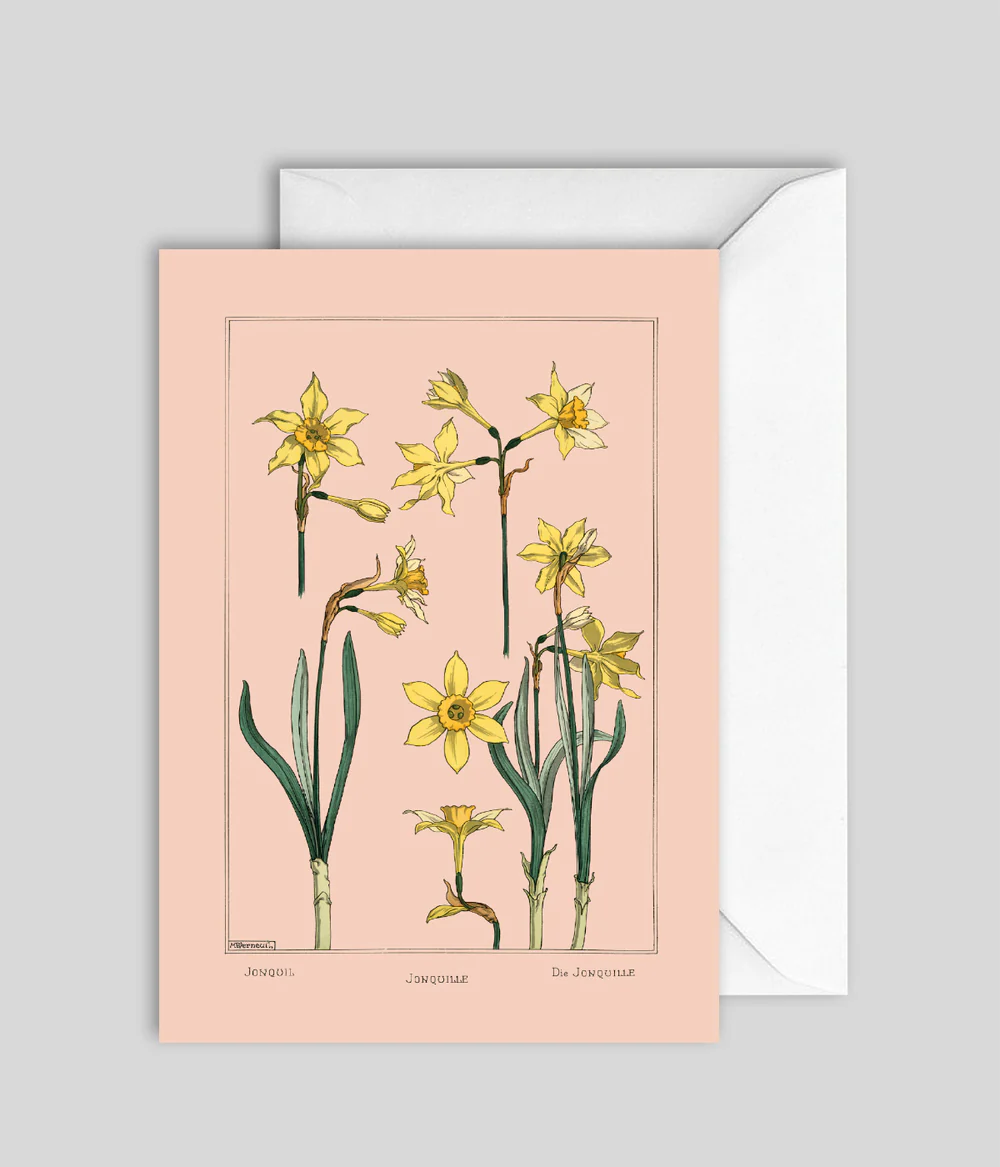 Kort Jonquil
