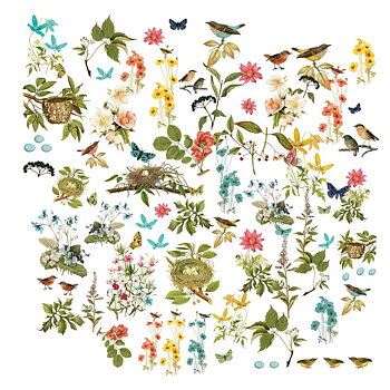 49 And Market - Laser Cut Outs - Wildflower, Birdsong