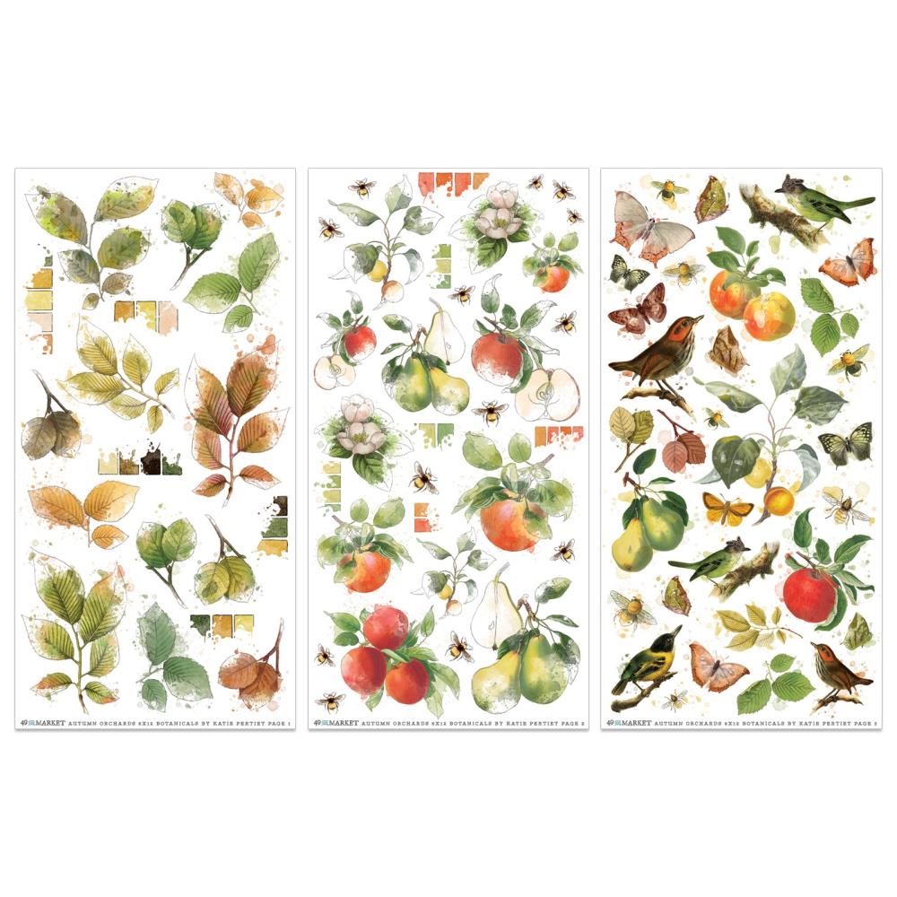 49 And Market - Rub-On Transfer Set - Vintage Orchard Botanical - 3