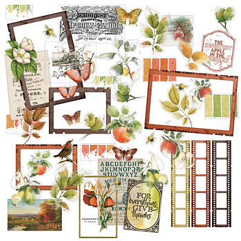 49 And Market - Acetate Assortment Set - Vintage Orchard
