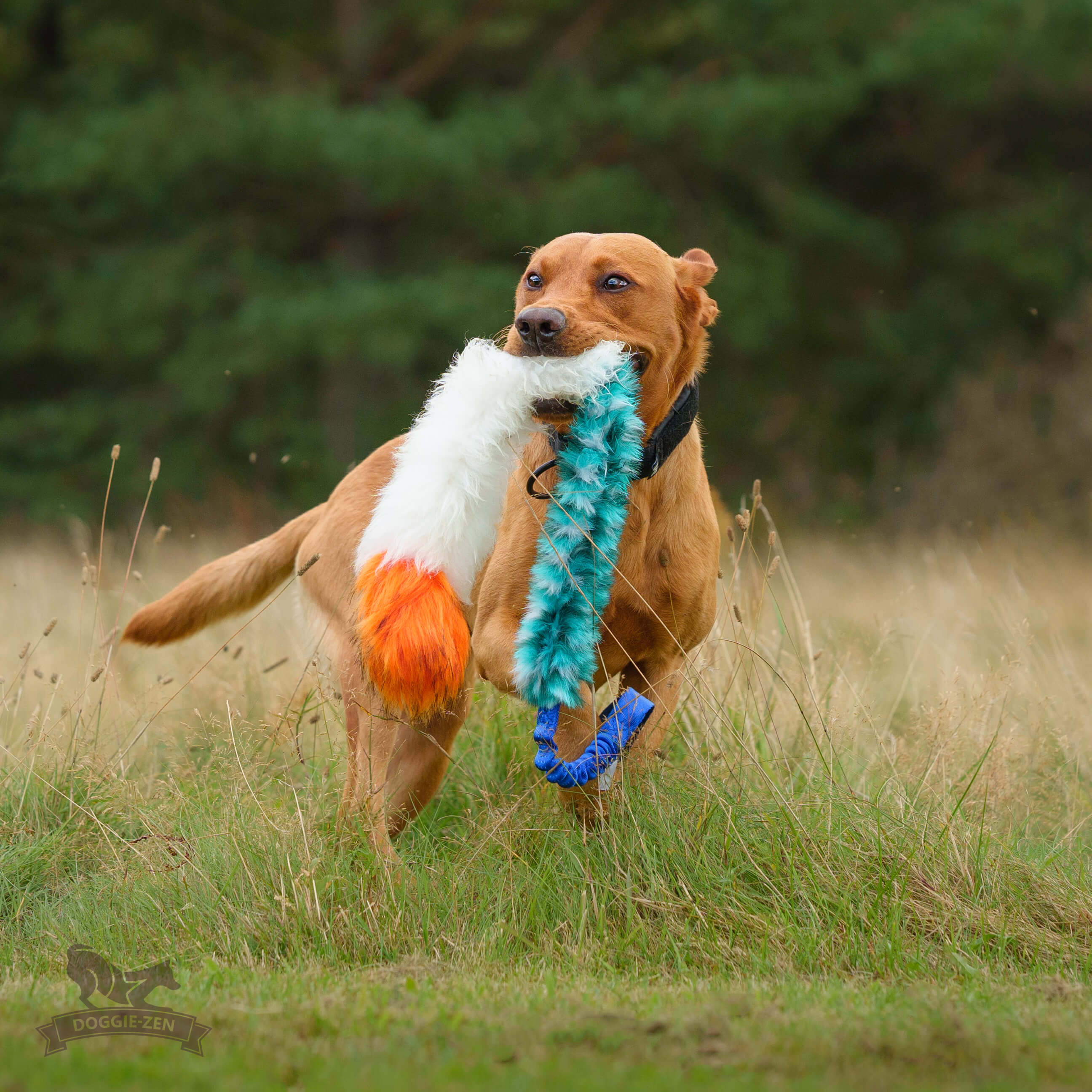 Bungee Fake Fur & Sheepskin Chaser Tug L with Squeaker - 3