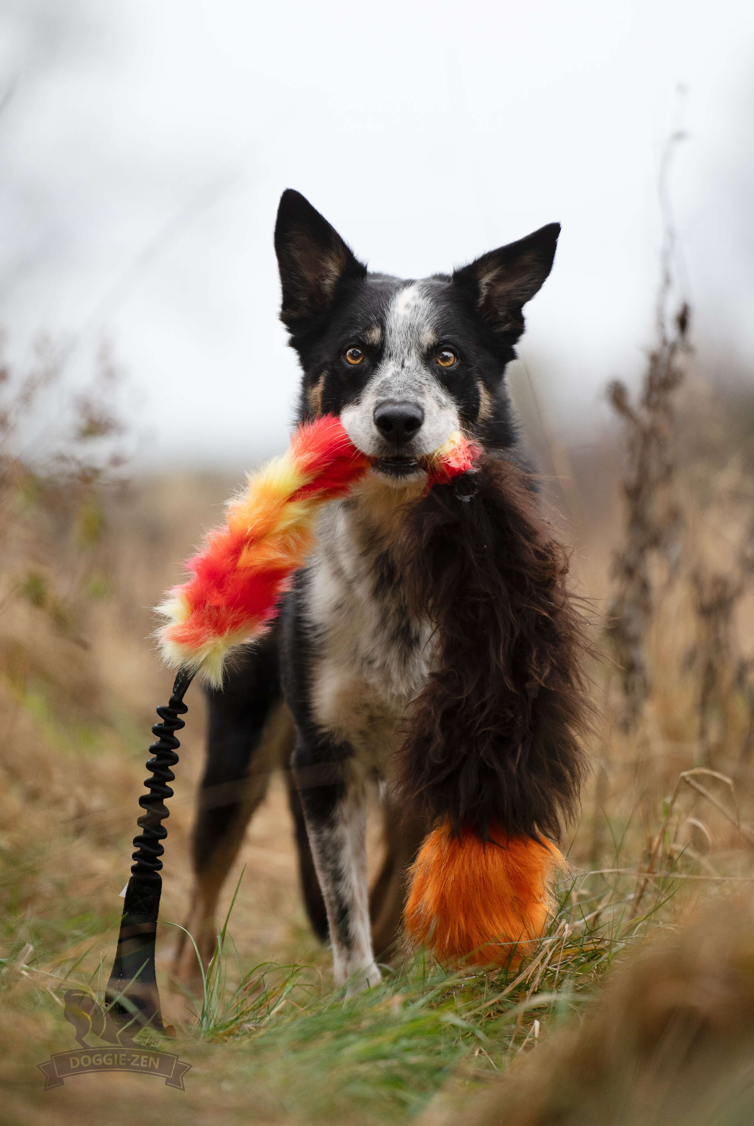 Bungee Fake Fur & Sheepskin Chaser Tug L with Squeaker - 2