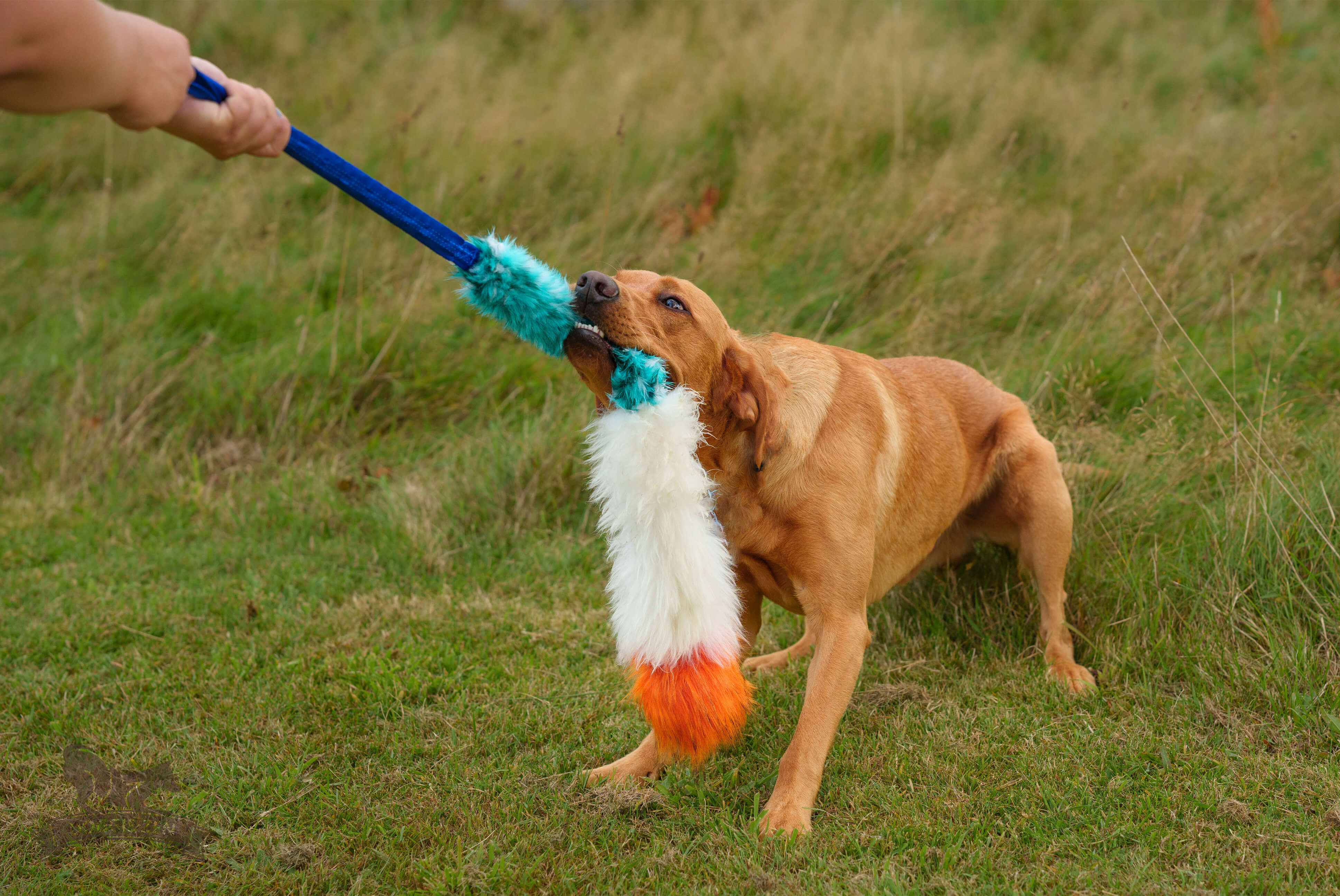 Bungee Fake Fur & Sheepskin Chaser Tug L with Squeaker - 9