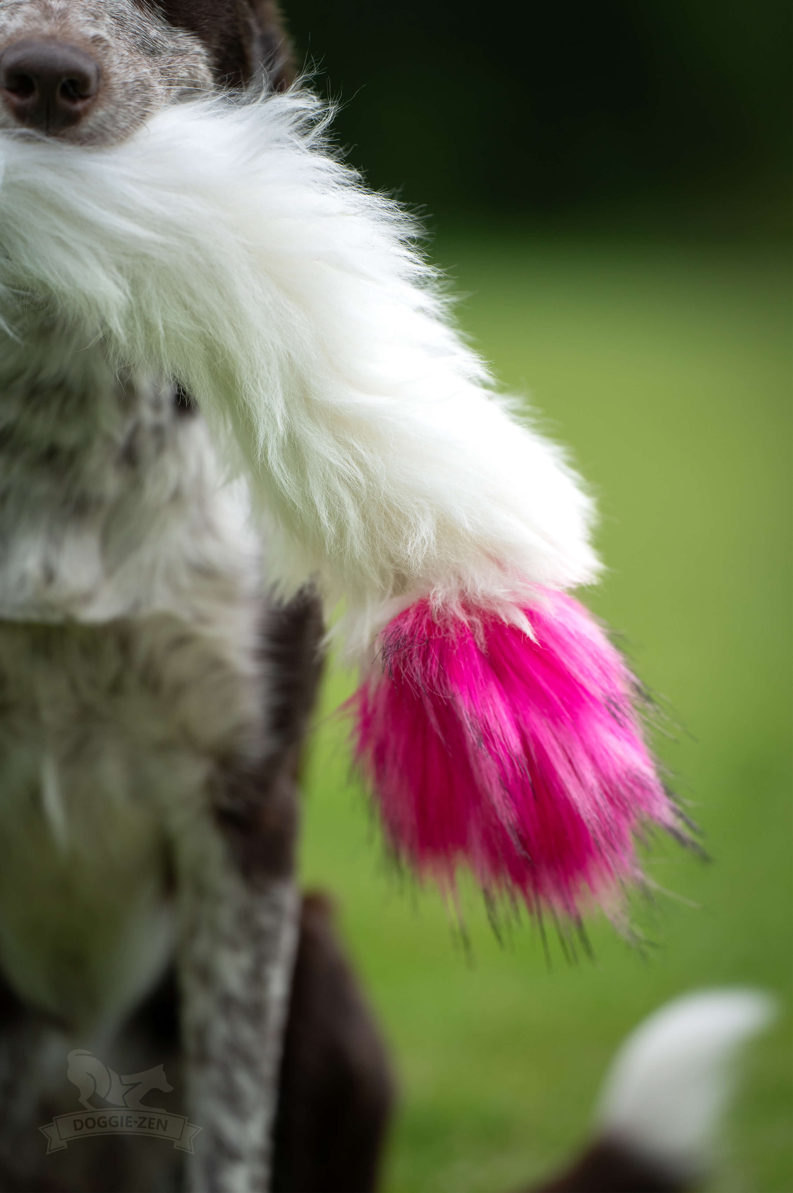 Bungee Fake Fur & Sheepskin Chaser Tug L with Squeaker - 8