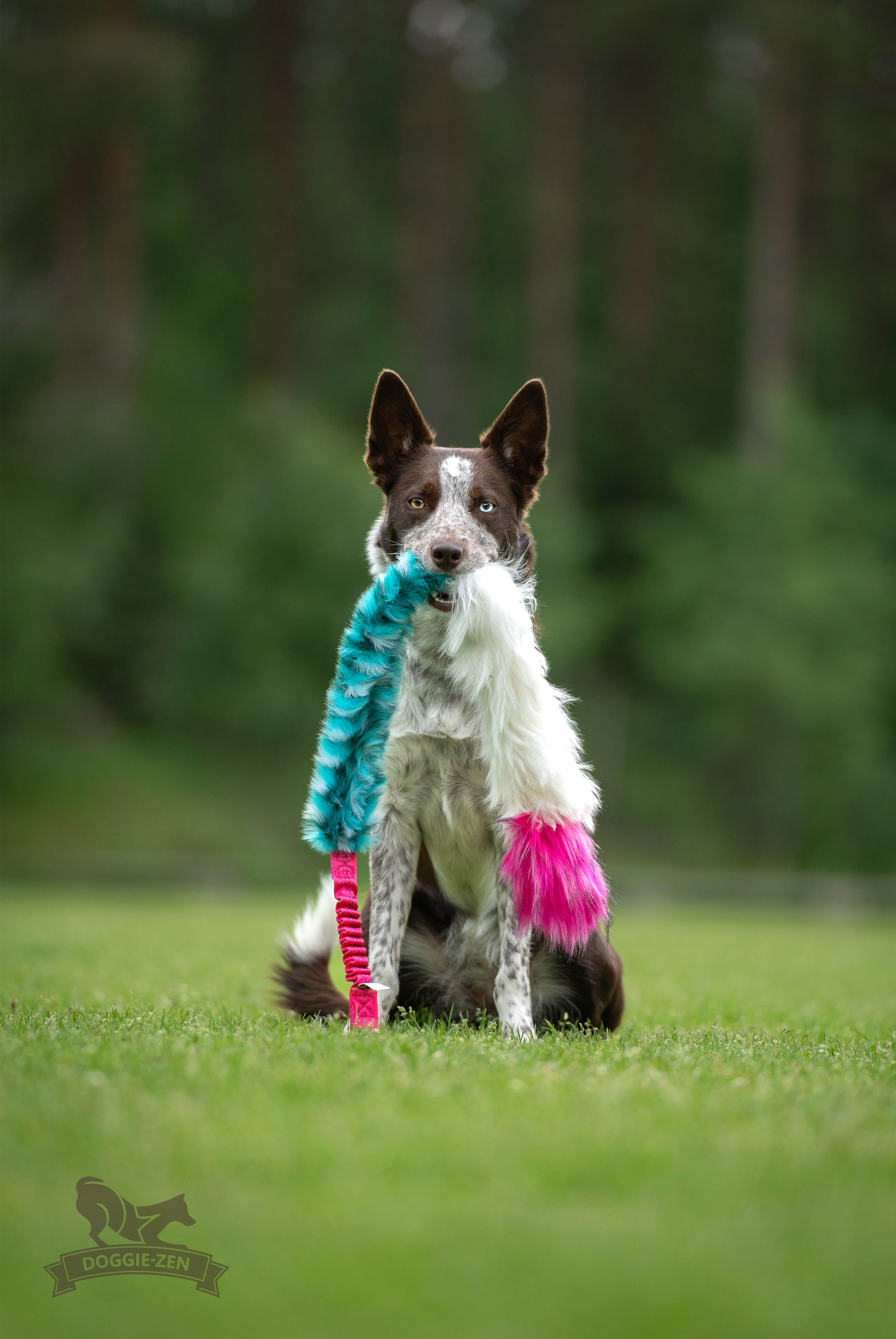 Bungee Fake Fur & Sheepskin Chaser Tug L with Squeaker - 10