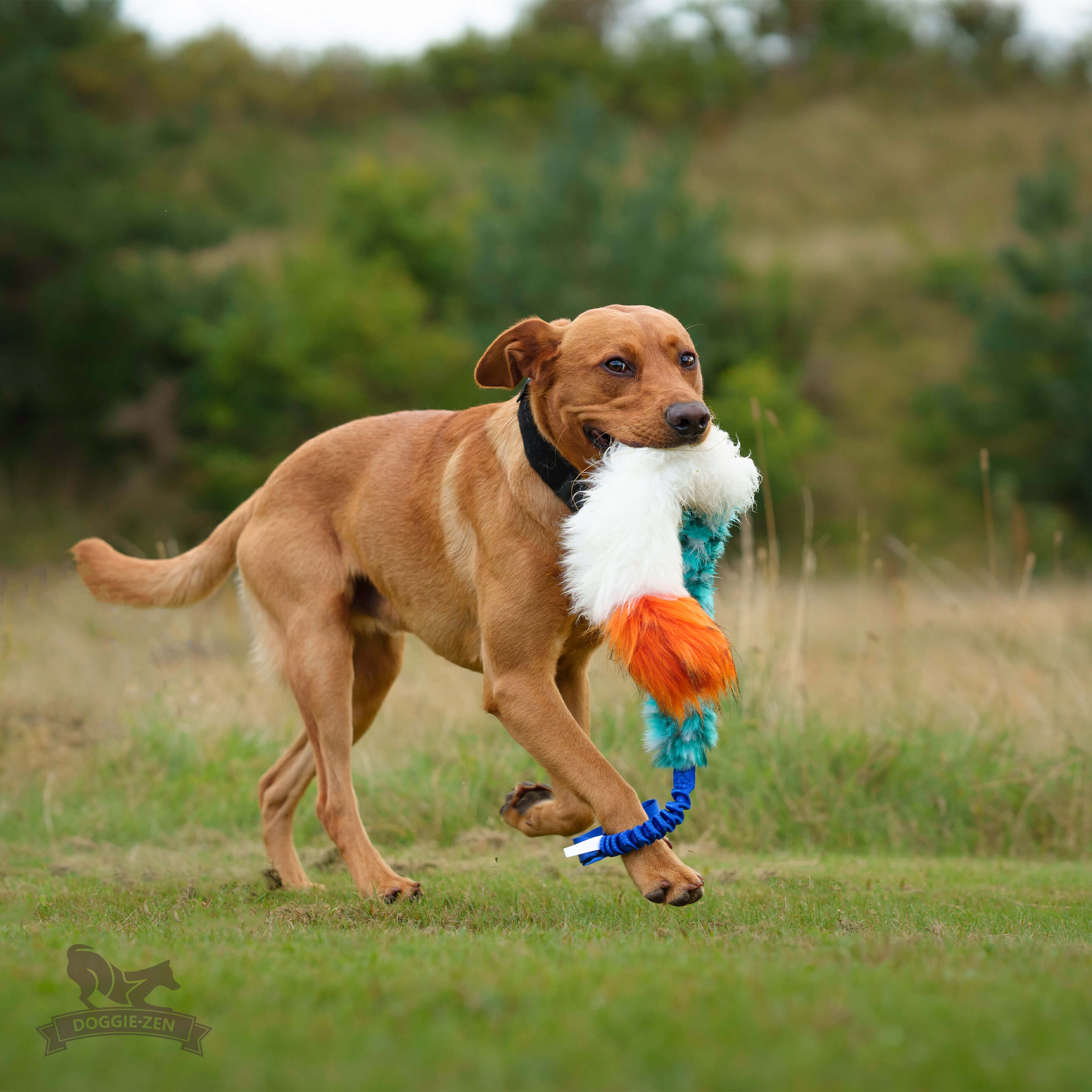 Bungee Fake Fur & Sheepskin Chaser Tug L with Squeaker - 7
