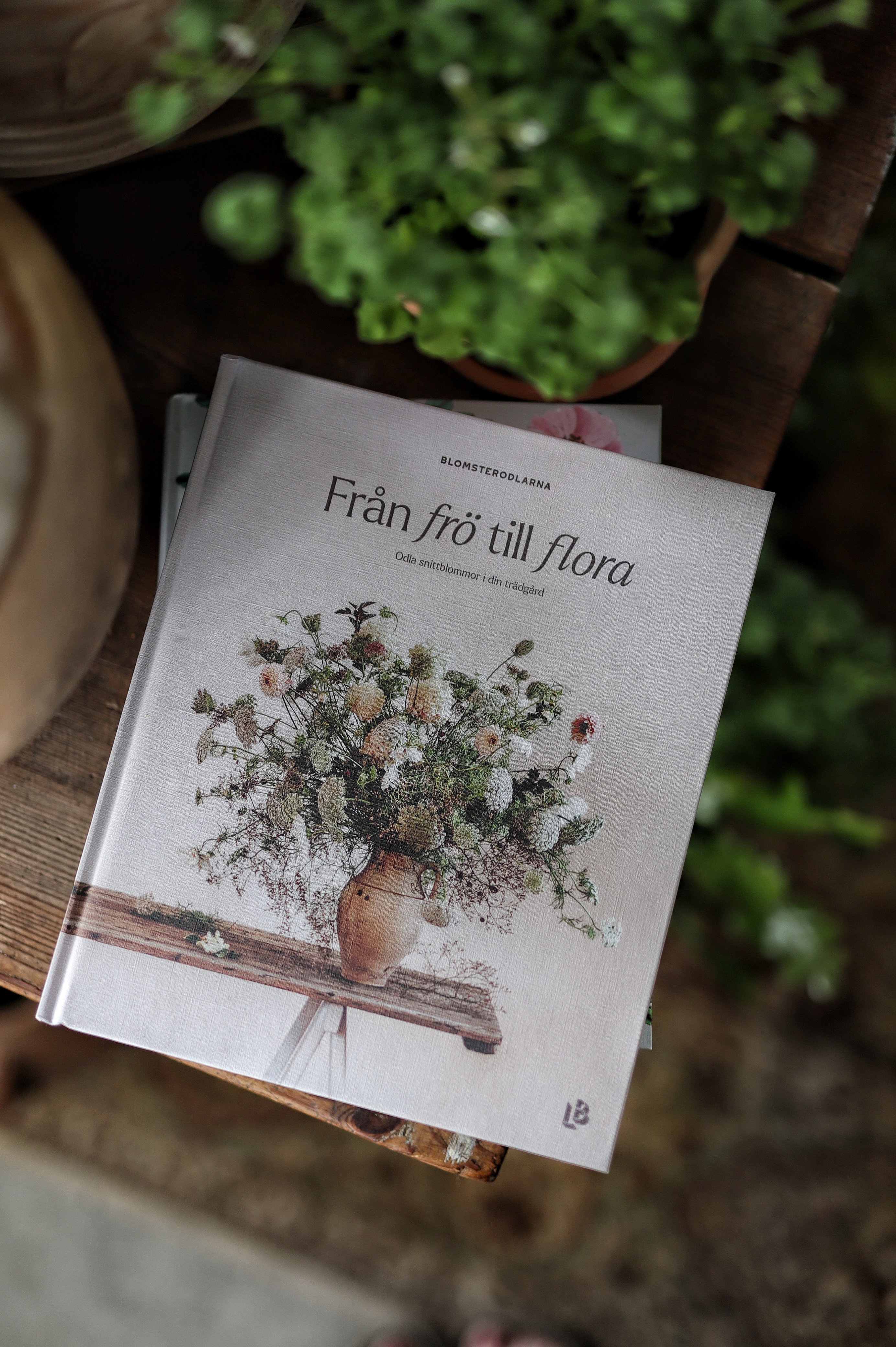 Bok – Från frö till flora