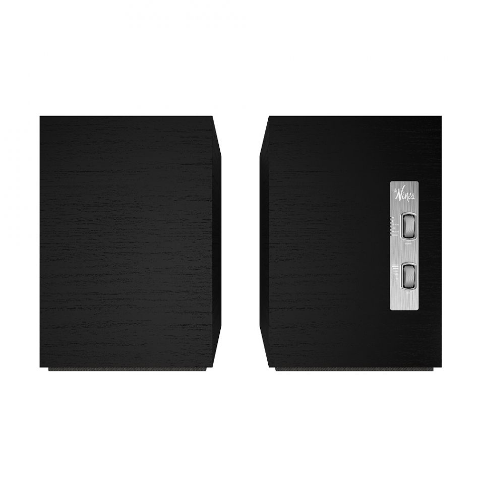 Klipsch The Nines + WIIM Mini - 10