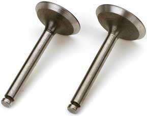 Saito Ventil In/Ut (2) FA-125, FG-21/60
