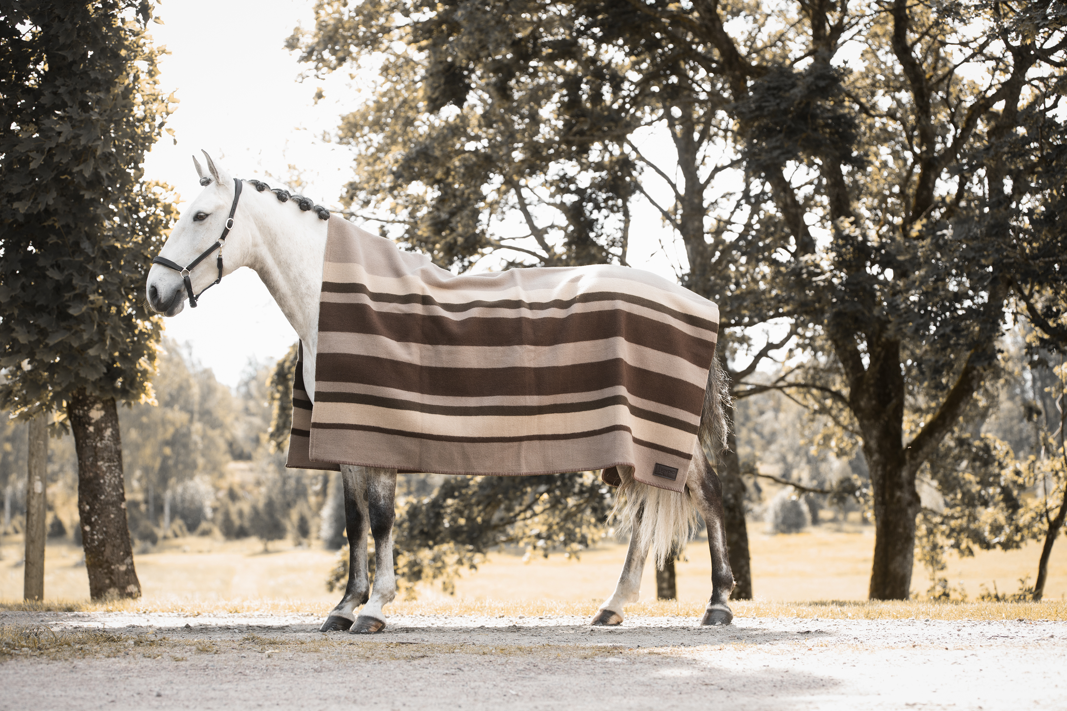 LIPPO Wool Blanket 180x210 cm - Yorkshire