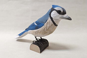 Blue Jay 23x6x14 cm