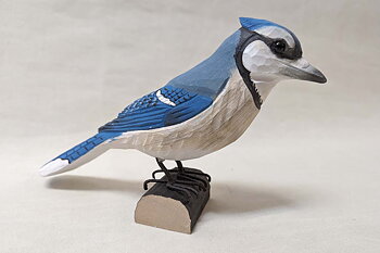 Blue Jay 23x6x14 cm