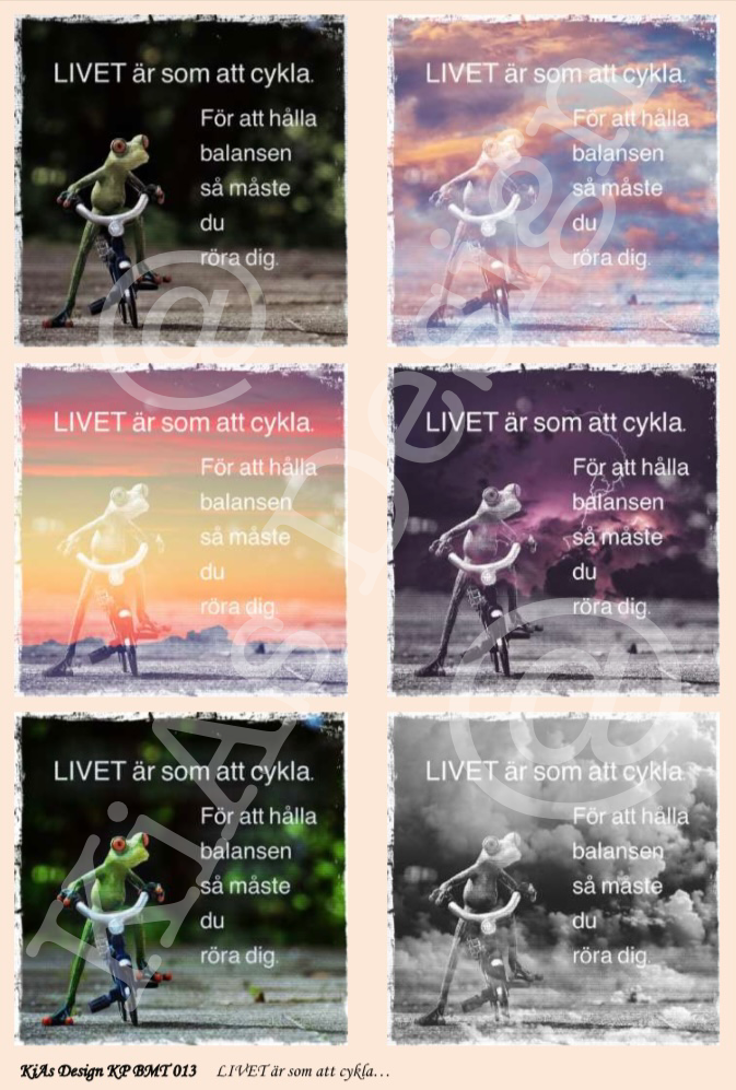KD BMT 013 -LIVET är som att cykla.. 