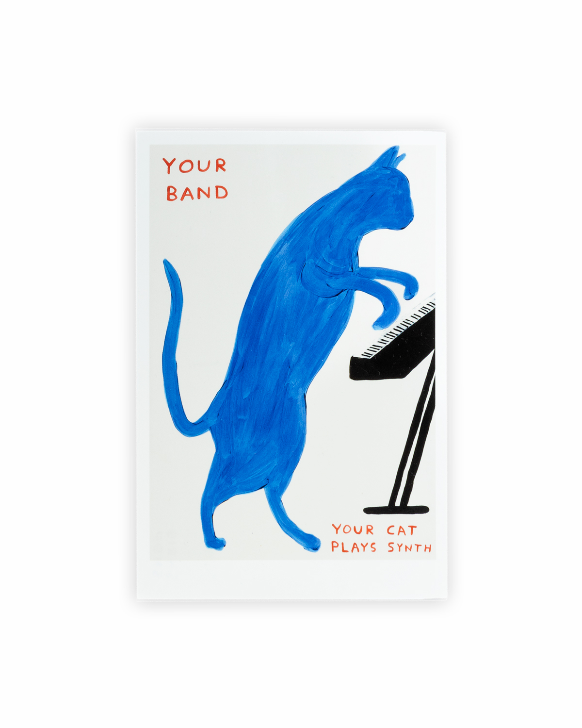 Kort, Your band, David Shrigley 